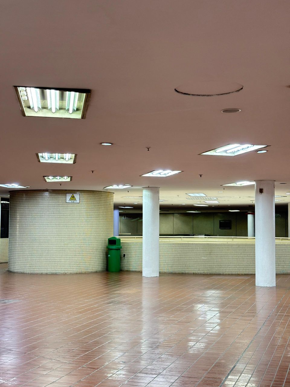 can you do free body diagram for this picture