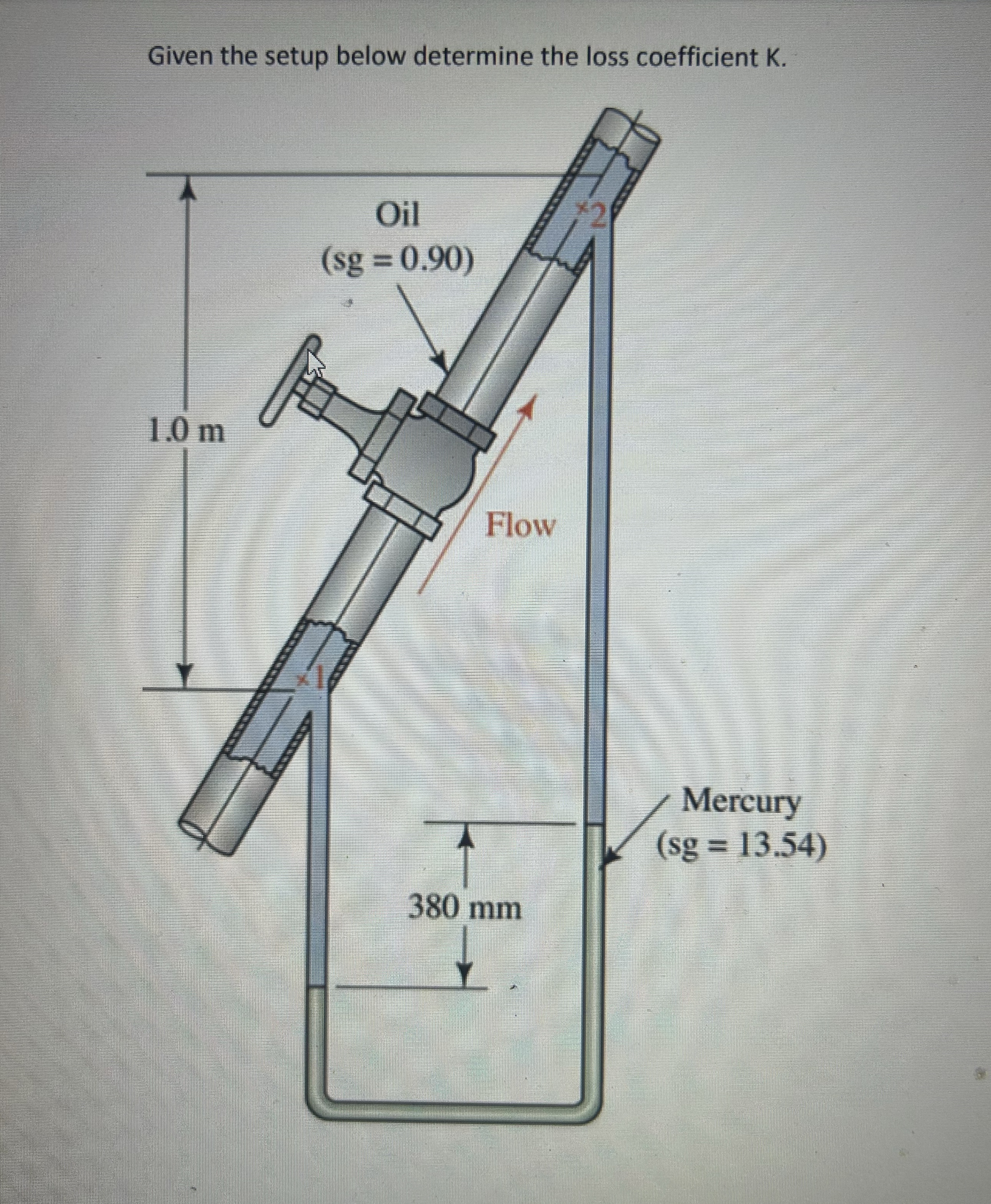 Given the setup below determine the loss
