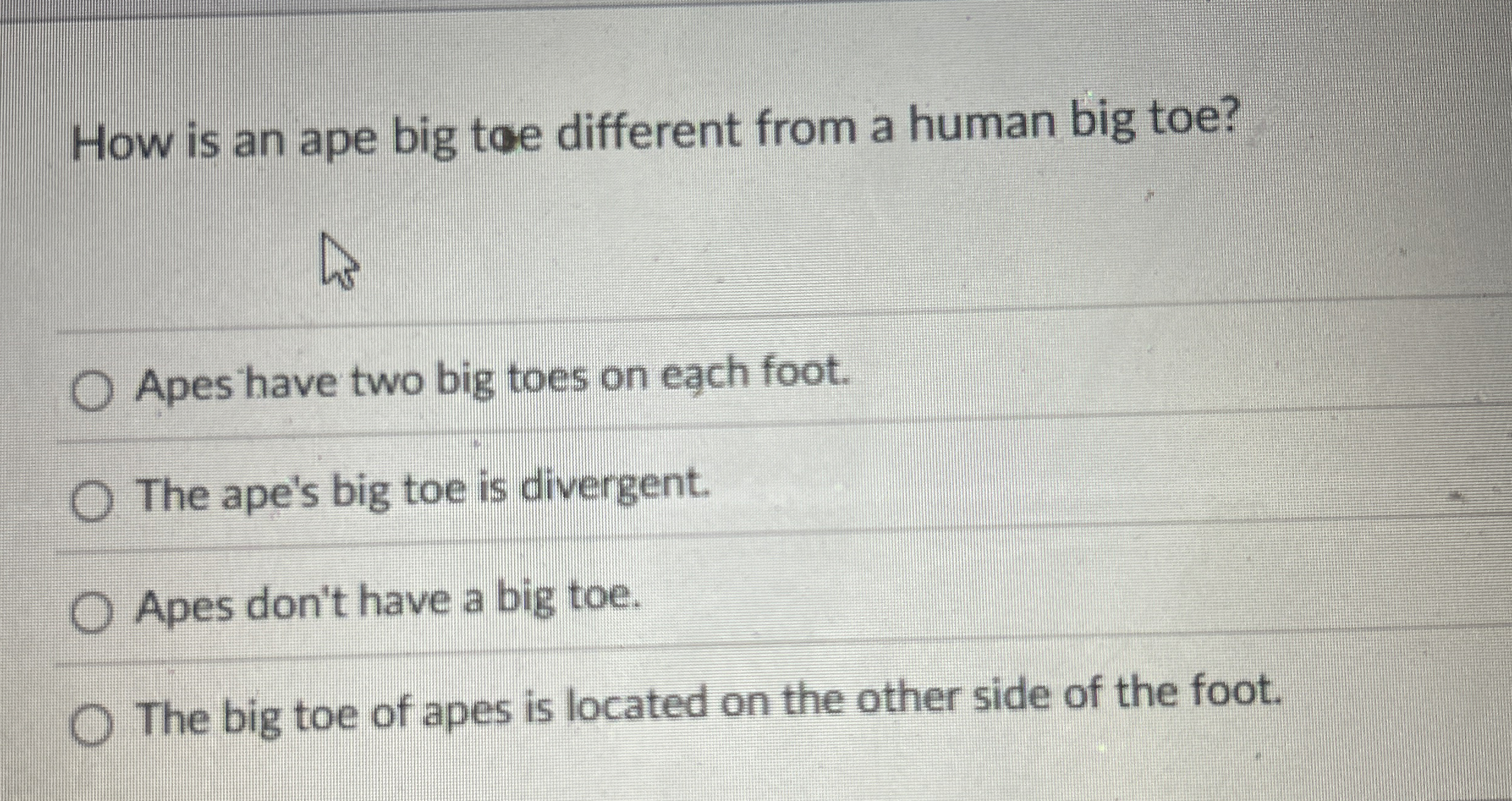 How is an ape big toe different from a human big