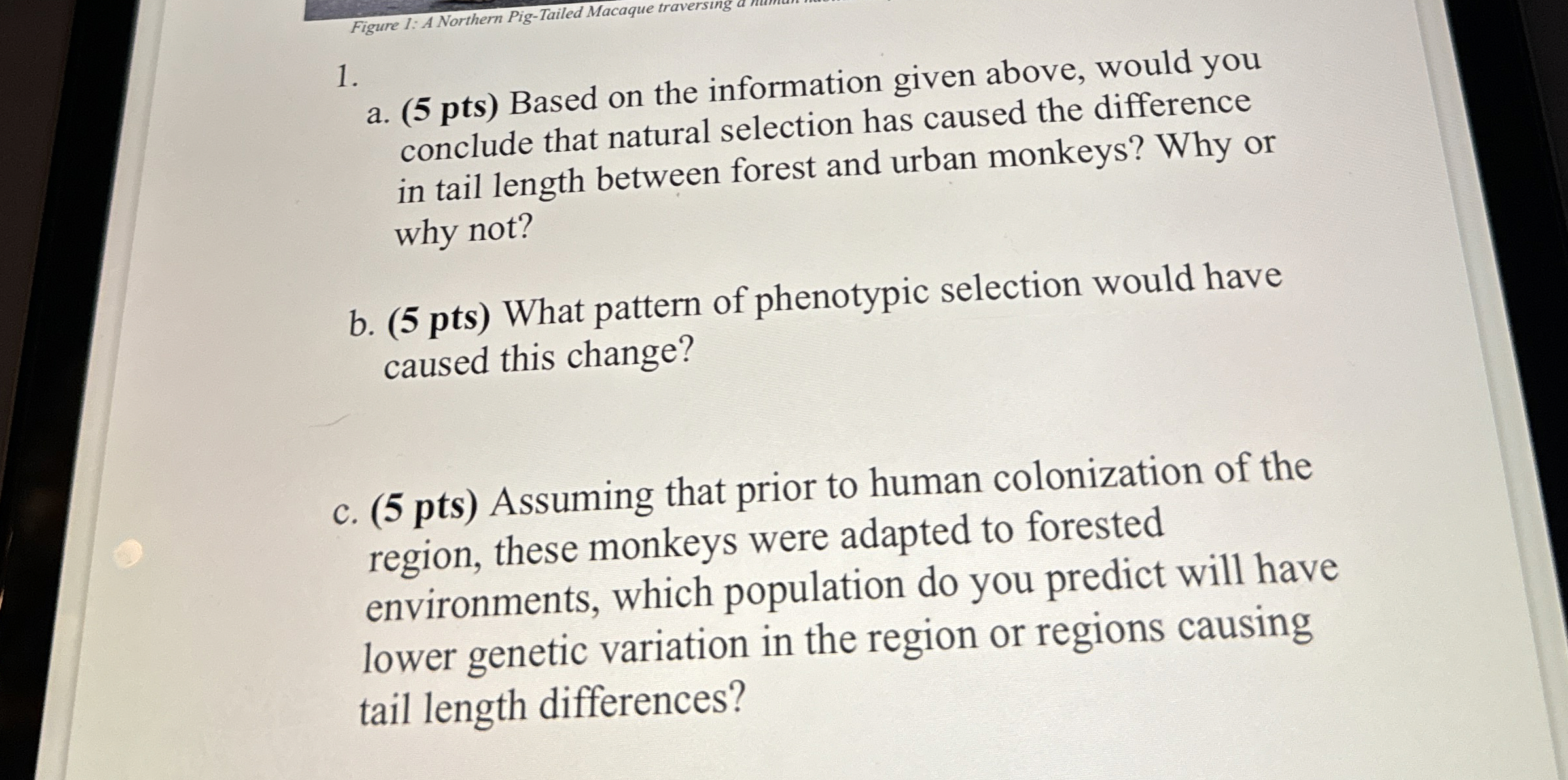 a . ( 5 p t s ) Based on the information given