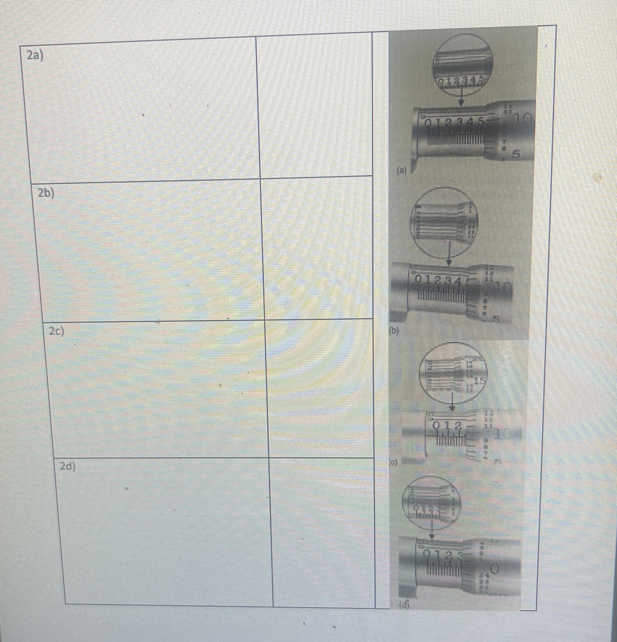 Show calculations and work for answer please