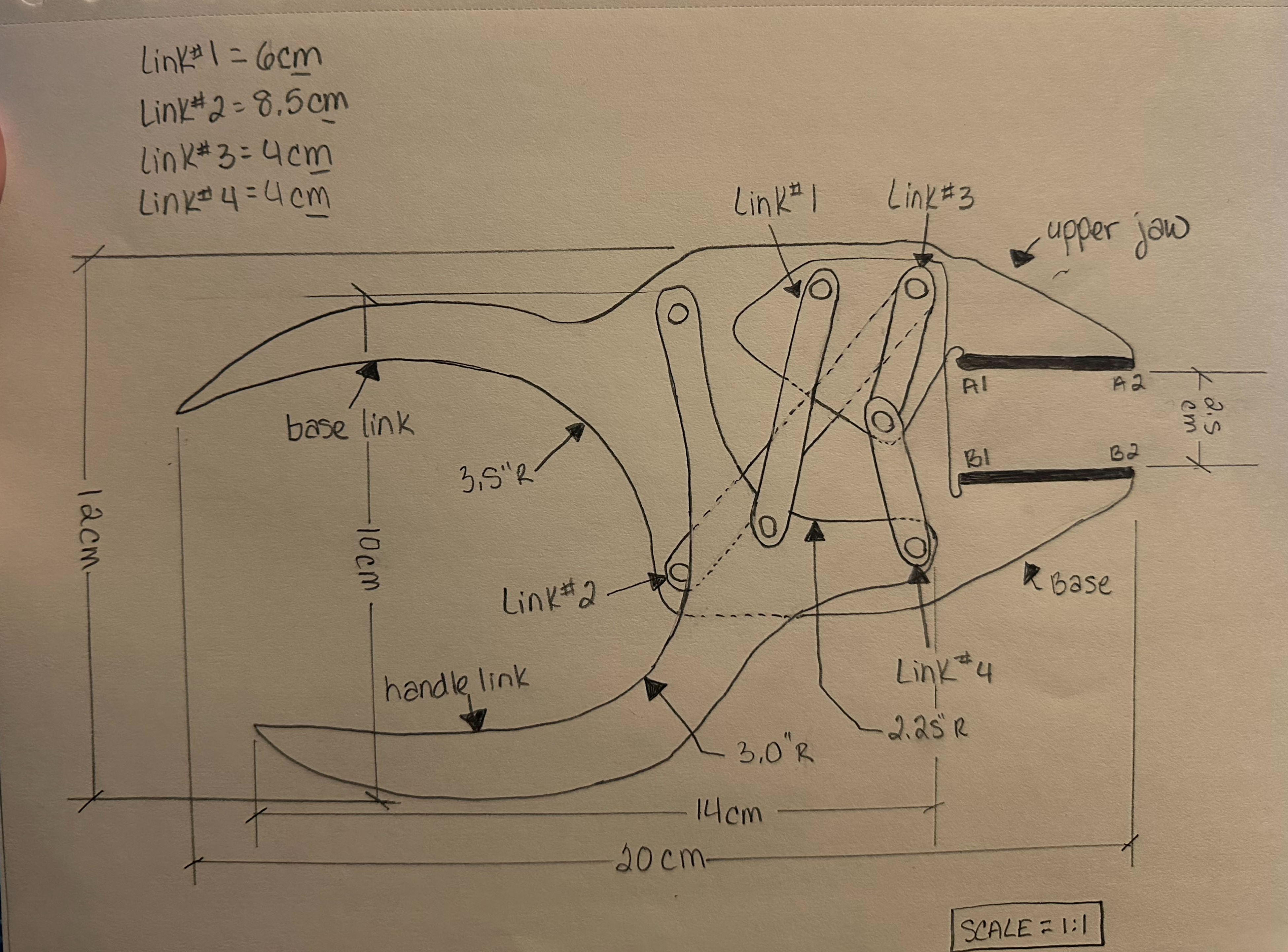 Design a parallel - jaw nut cracker with at least