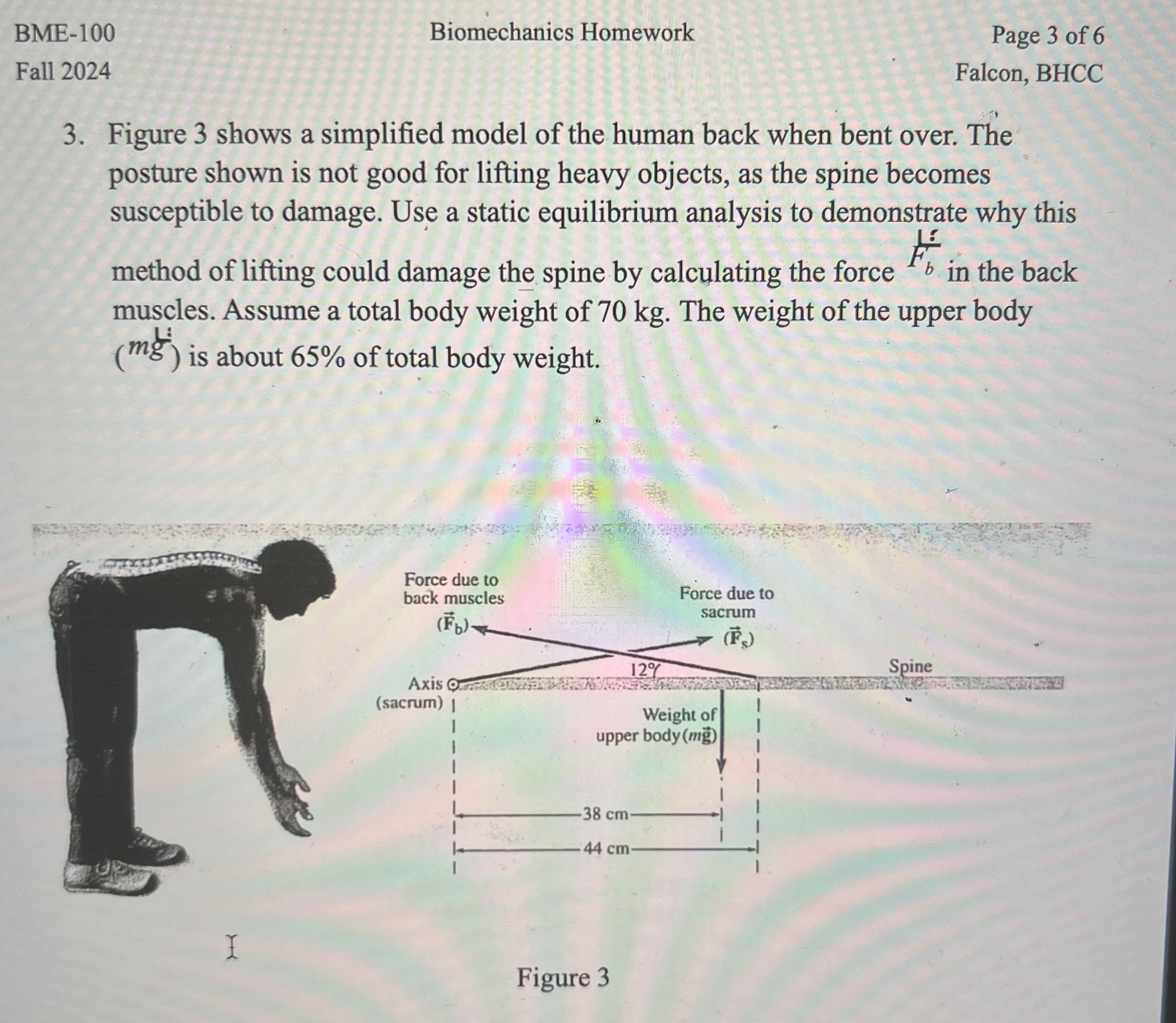 BME - 1 0 0 Biomechanics Homework Page 3 of 6