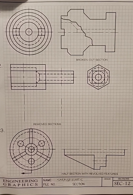BROKEN - OUT SECTION REMOVED SECTIONS 3 . HALF