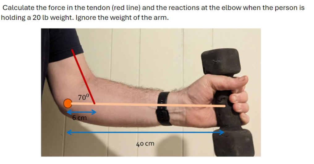 Calculate the force in the tendon ( red line )