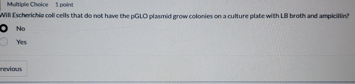 Multiple Choice 1 point Will Escherichia coli