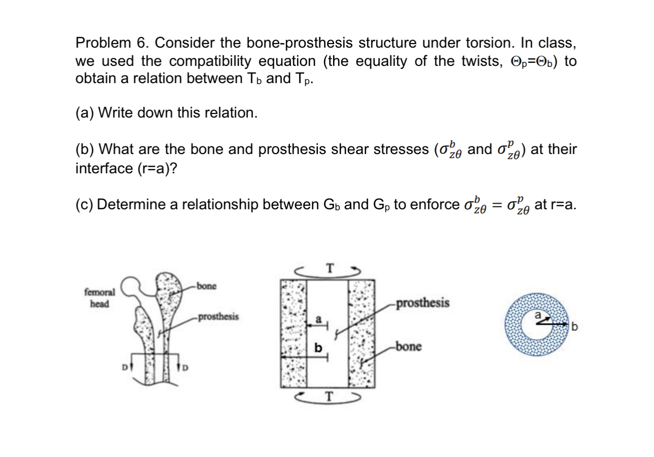 Problem 6 . Consider the bone - prosthesis