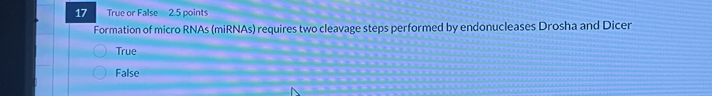 1 7 True or False 2 . 5 points Formation of micro
