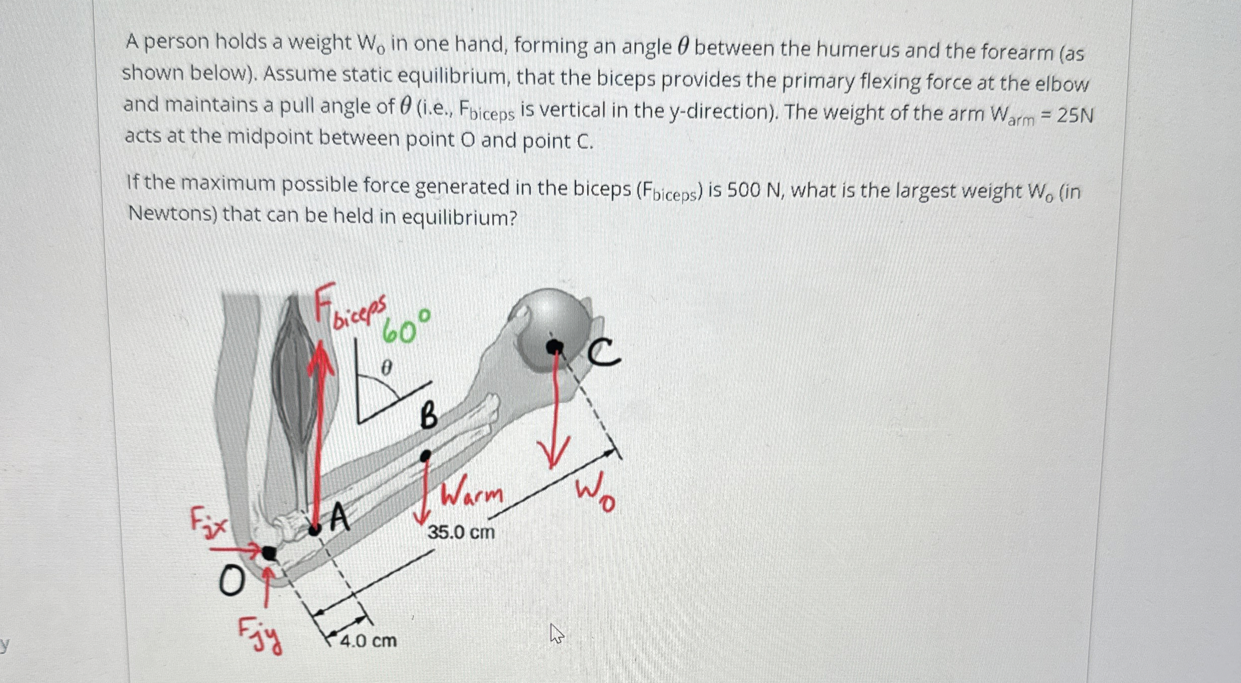 A person holds a weight W 0 in one hand, forming