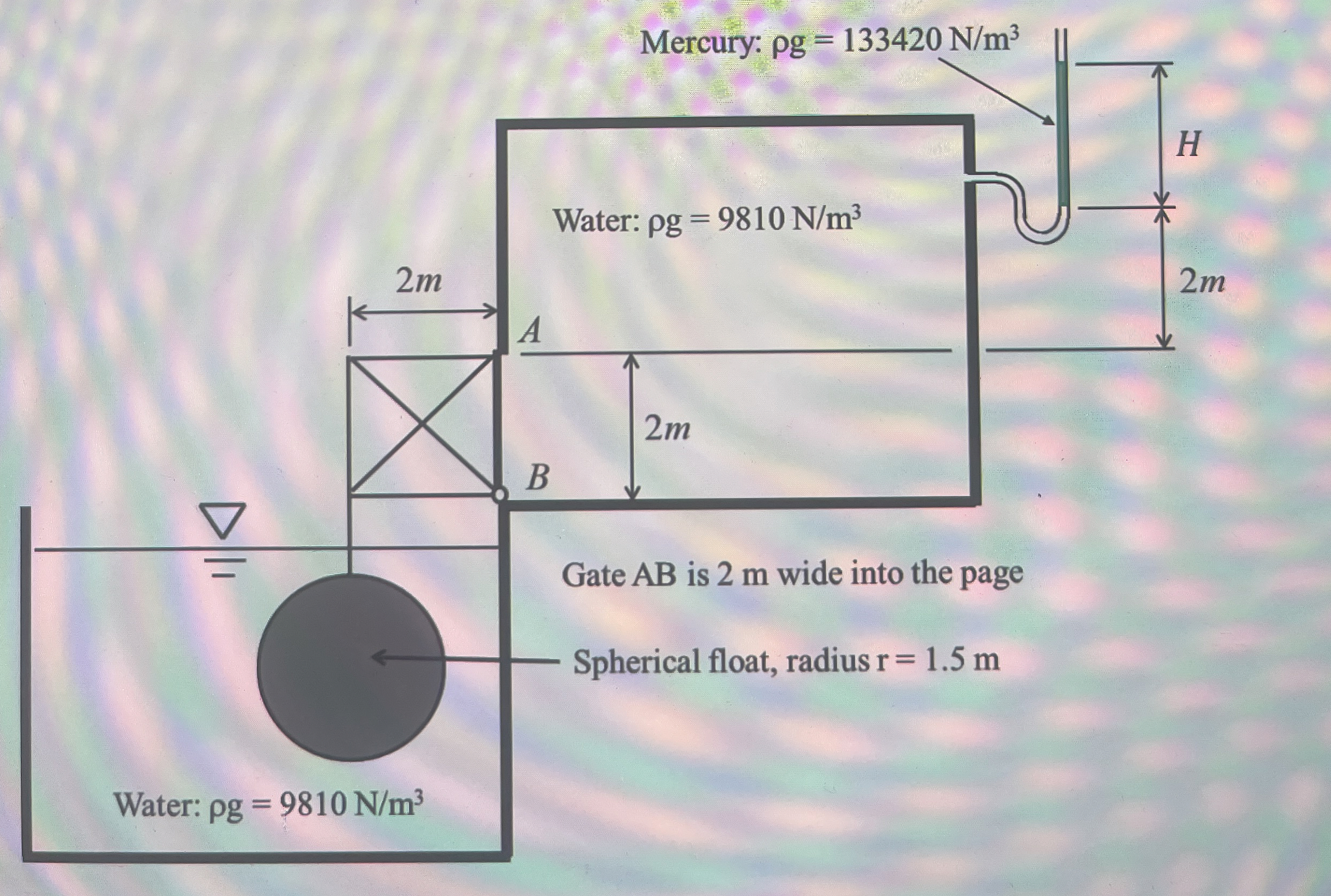 Sketch free body diagram of the forces acting on