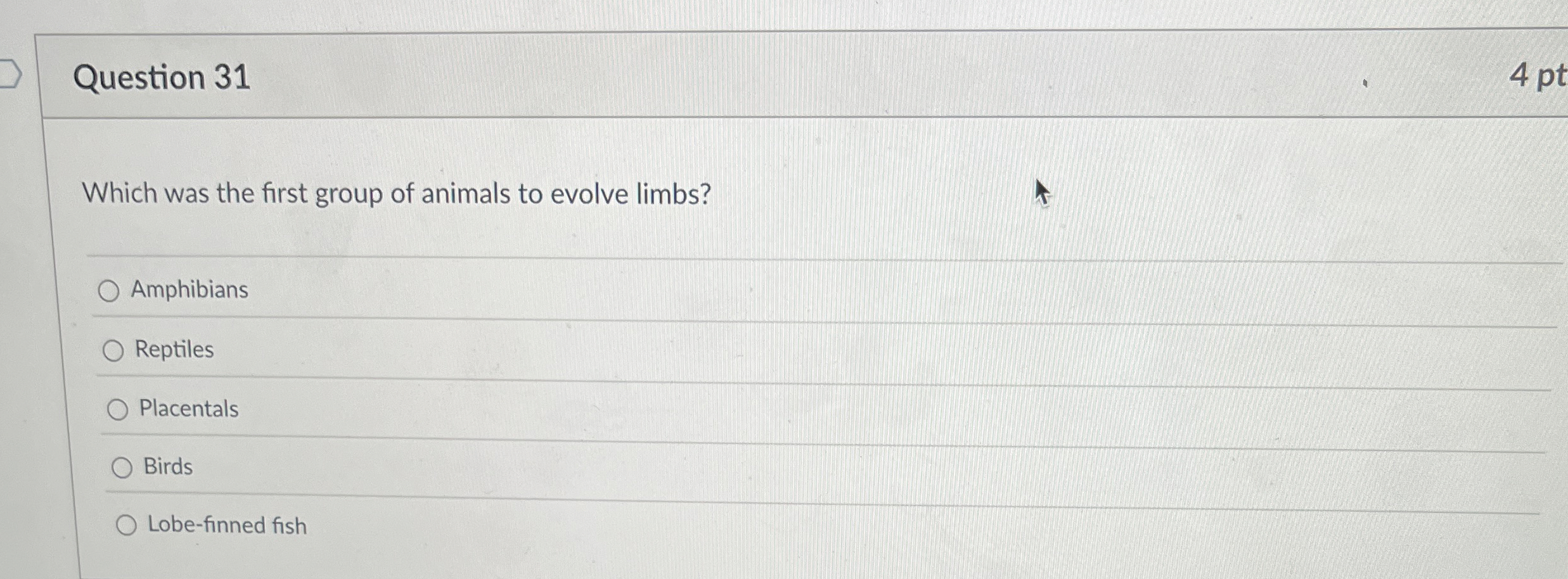 Question 3 1 4 pt Which was the first group of