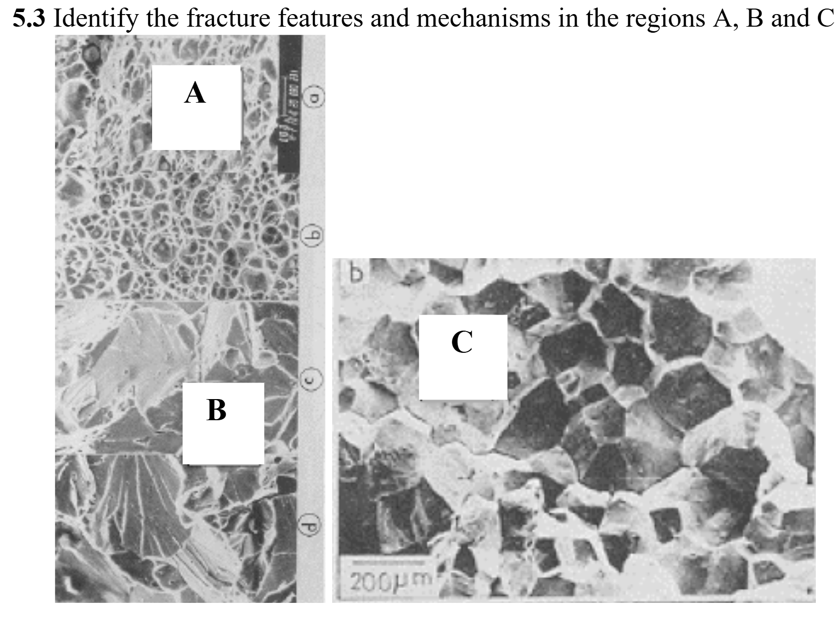 5 . 3 Identify the fracture features and