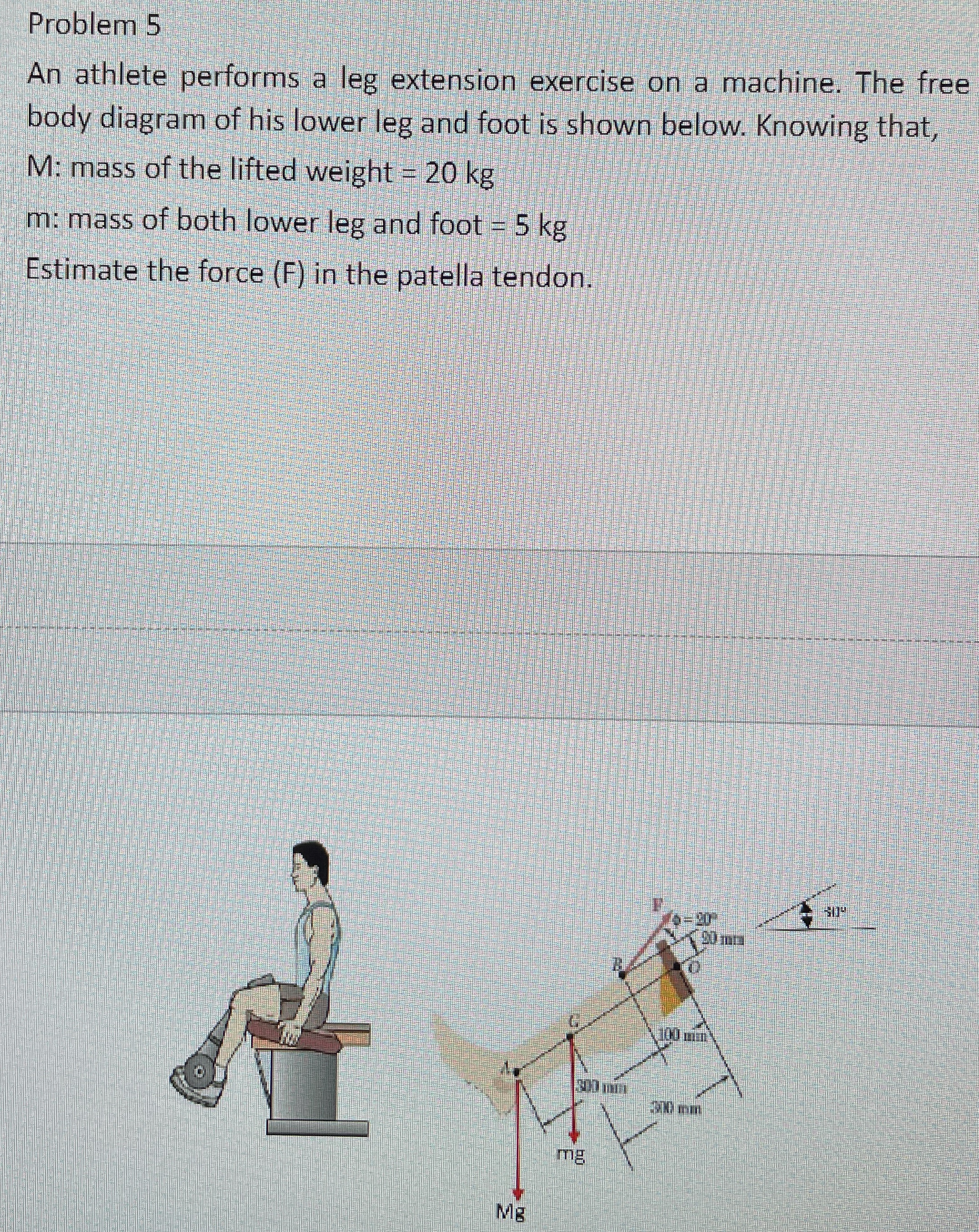 Lower Limb Biomechanics: The Phi angle on the leg