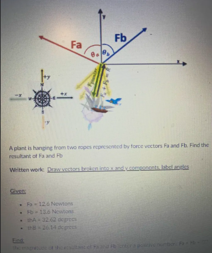 A plant is hanging from two ropes represented by