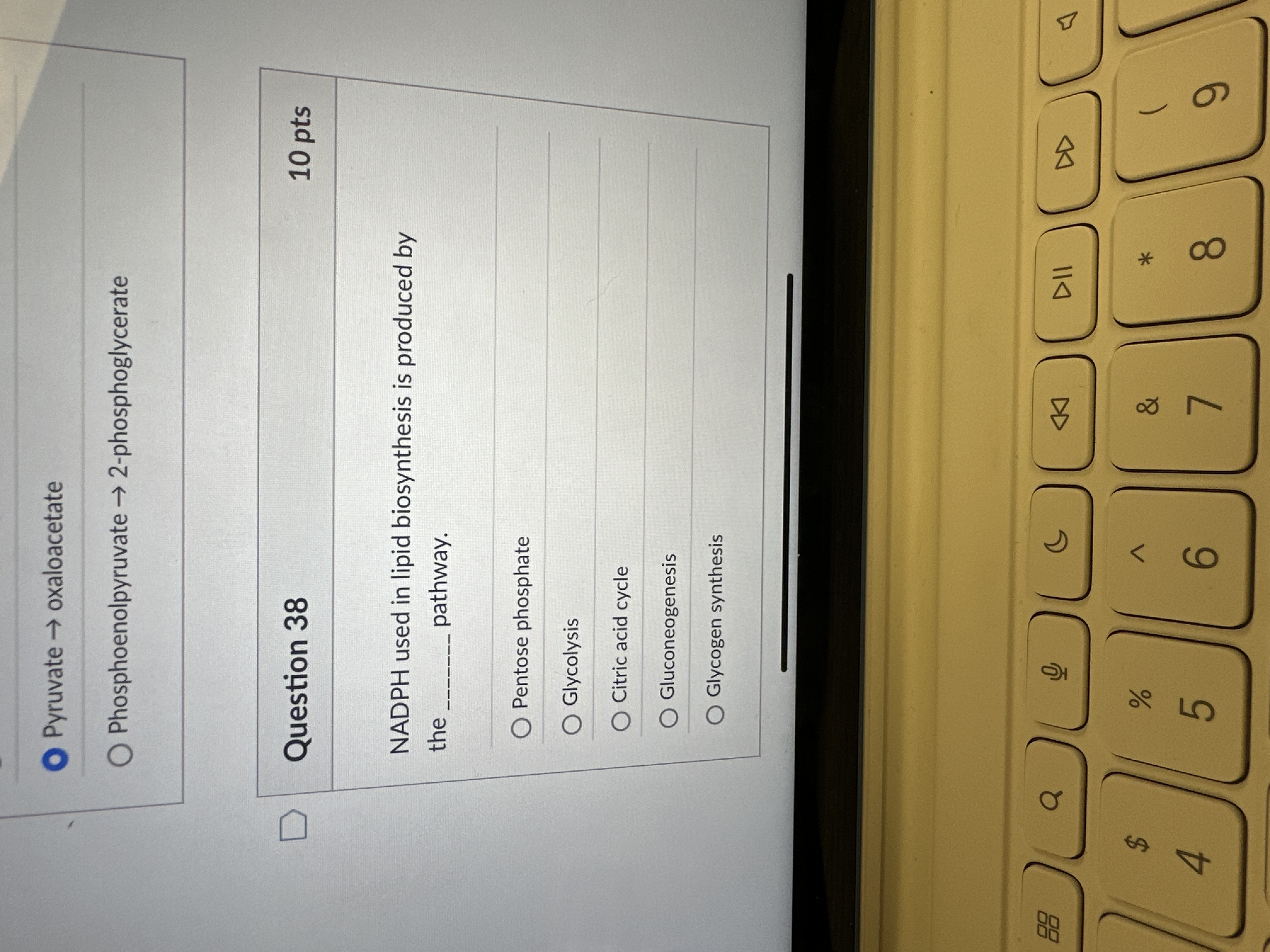 Pyruvate \ ( \ rightarrow \ ) oxaloacetate