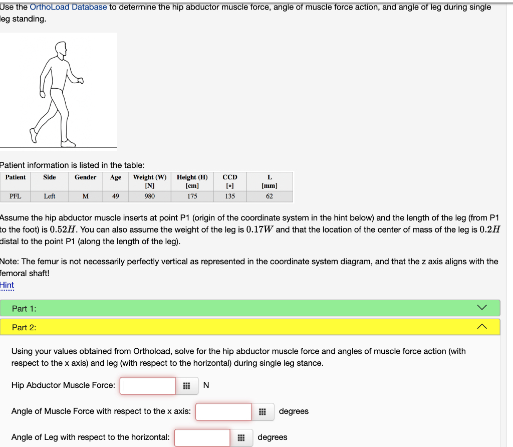 Use the OrthoLoad Database to determine the hip