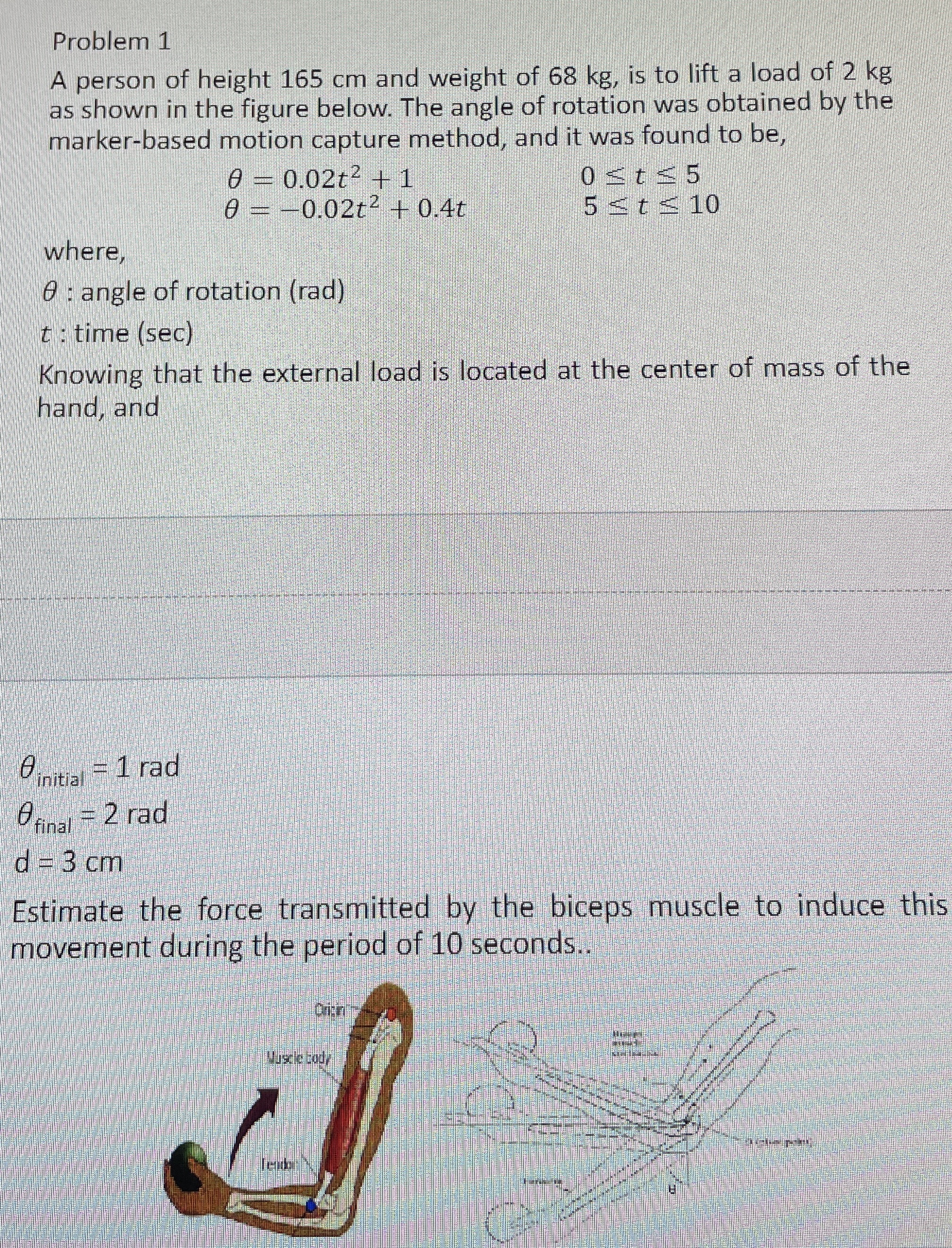 Upper Limb Biomechanics: