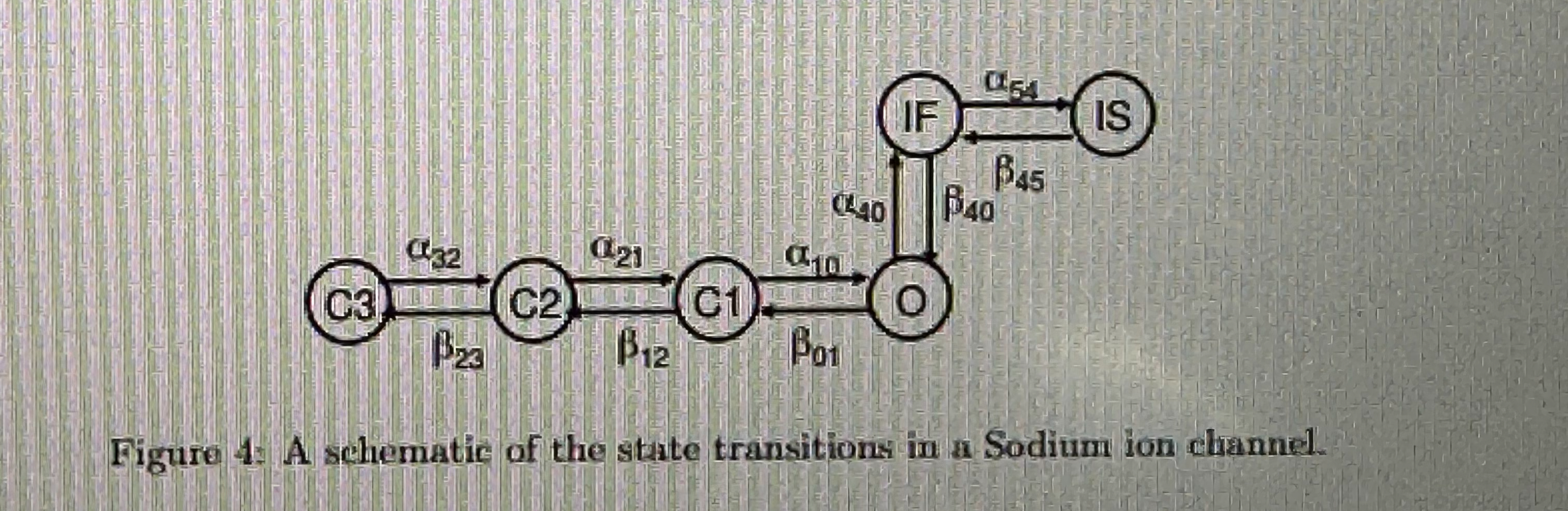 Write down a series of first - order differential