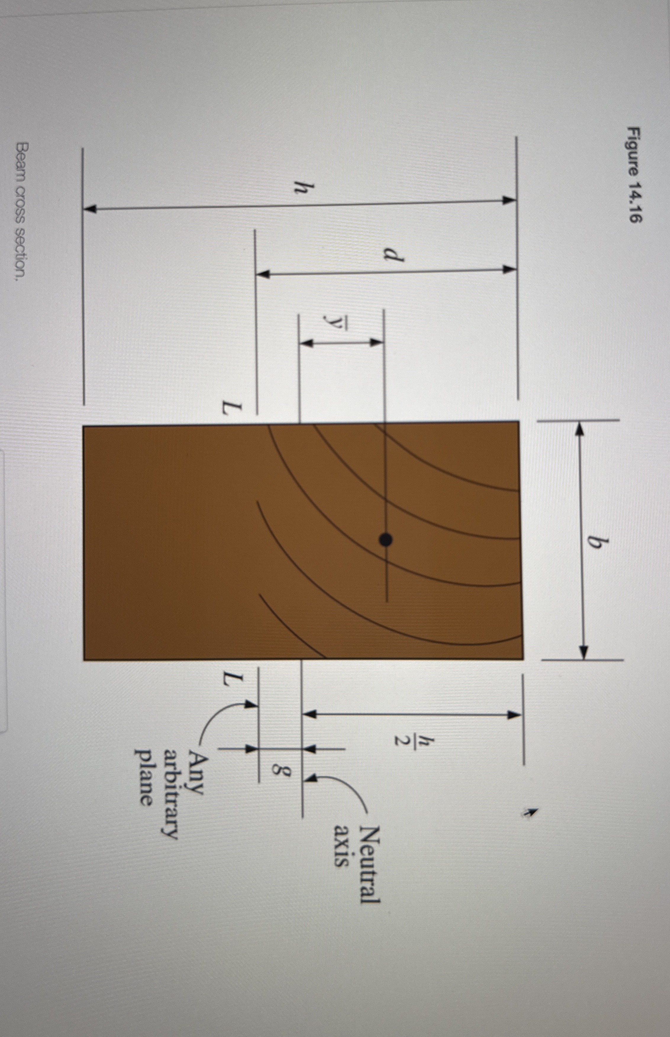 Calculate the section modulus for the cross