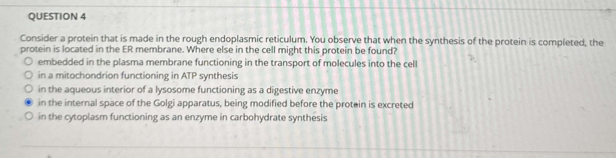 QUESTION 4 Consider a protein that is made in the