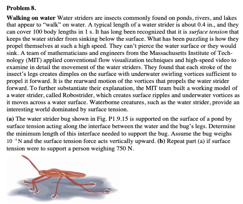 Problem 8 . Walking on water Water striders are