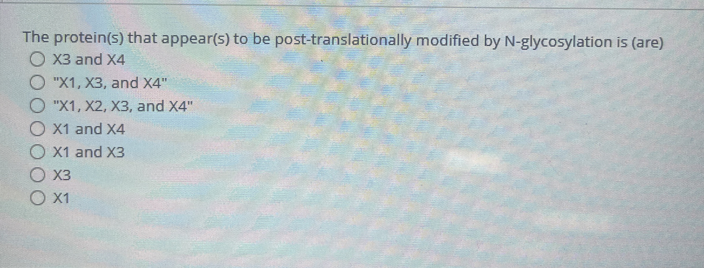 The protein ( s ) that appear ( s ) to be post -