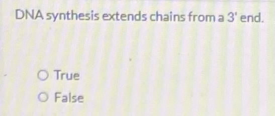 DNA synthesis extends chains from a 3 ' end. True