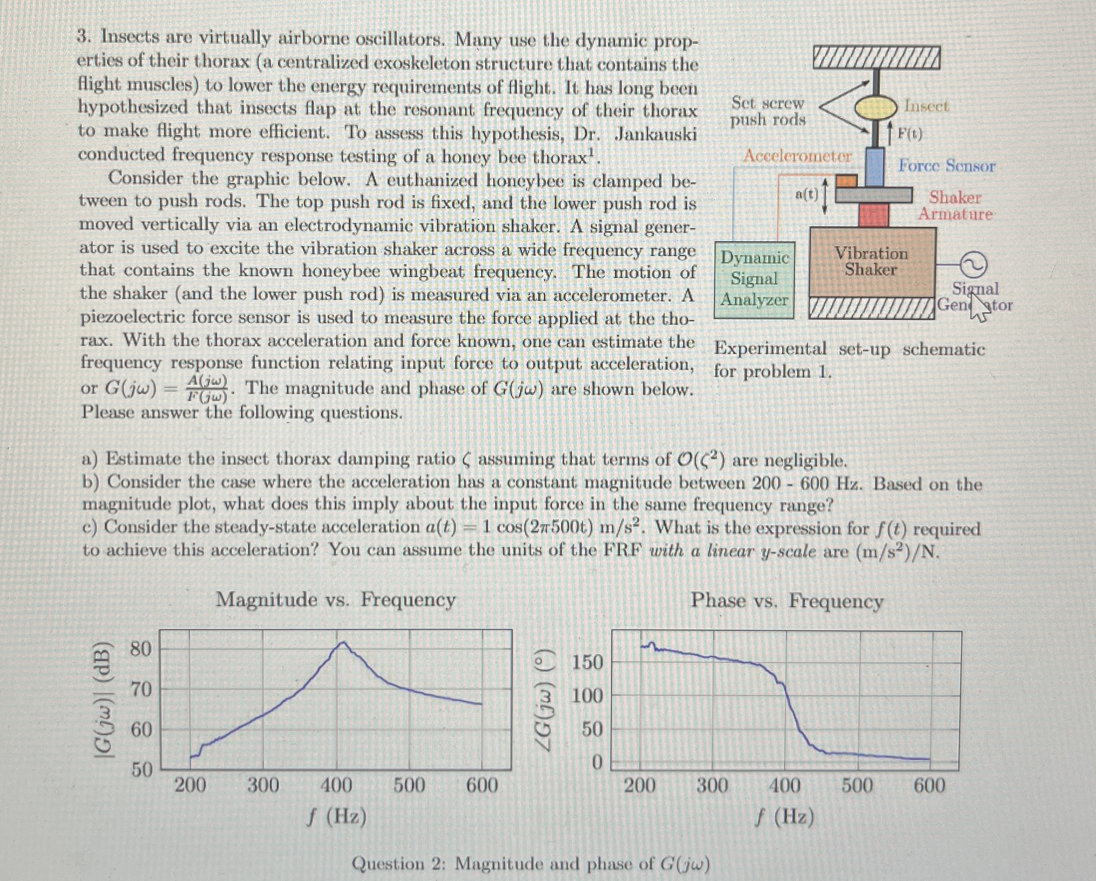 Insects are virtually airborne oscillators. Many