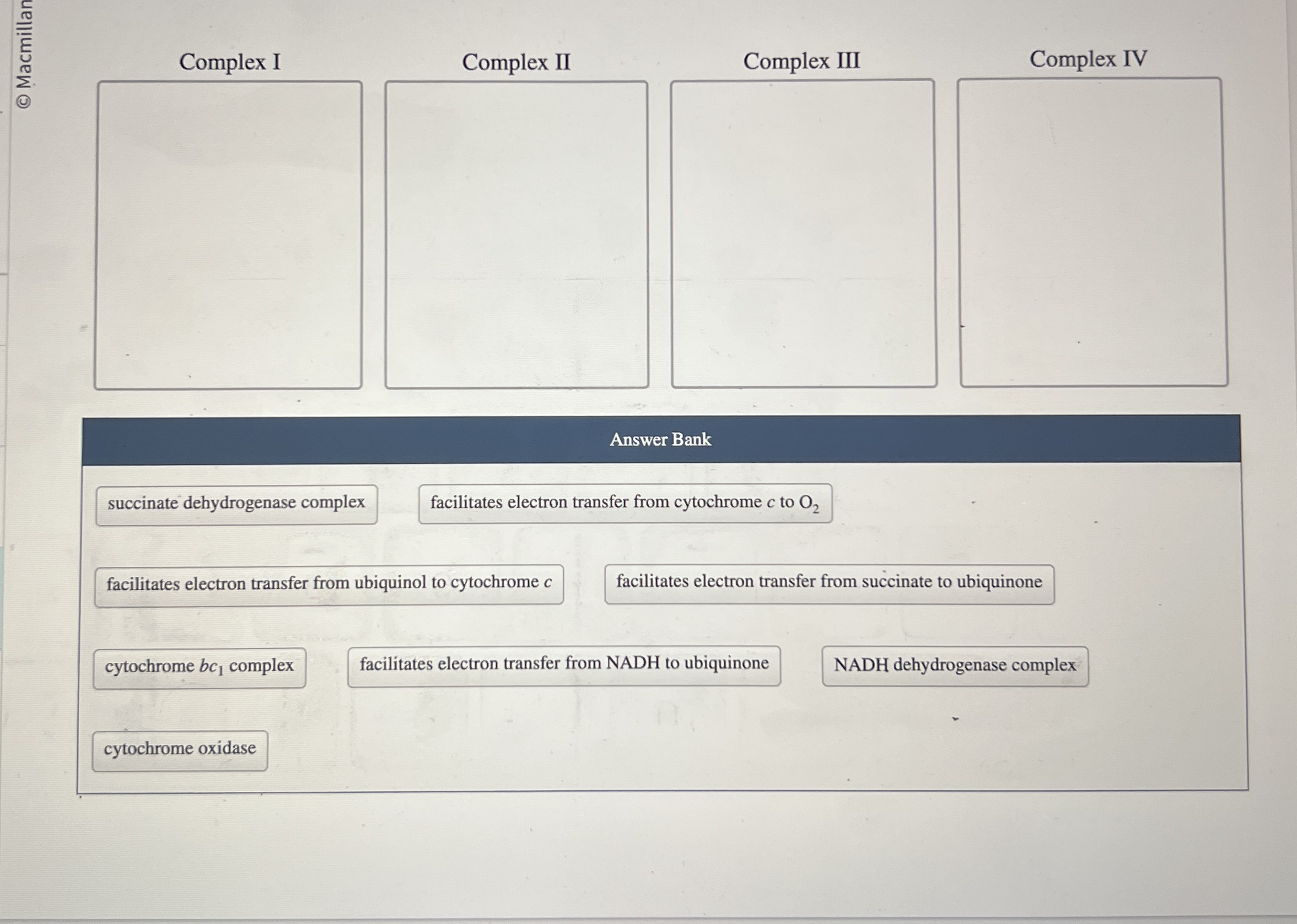 Complex I Complex II Comolex III Complex IV
