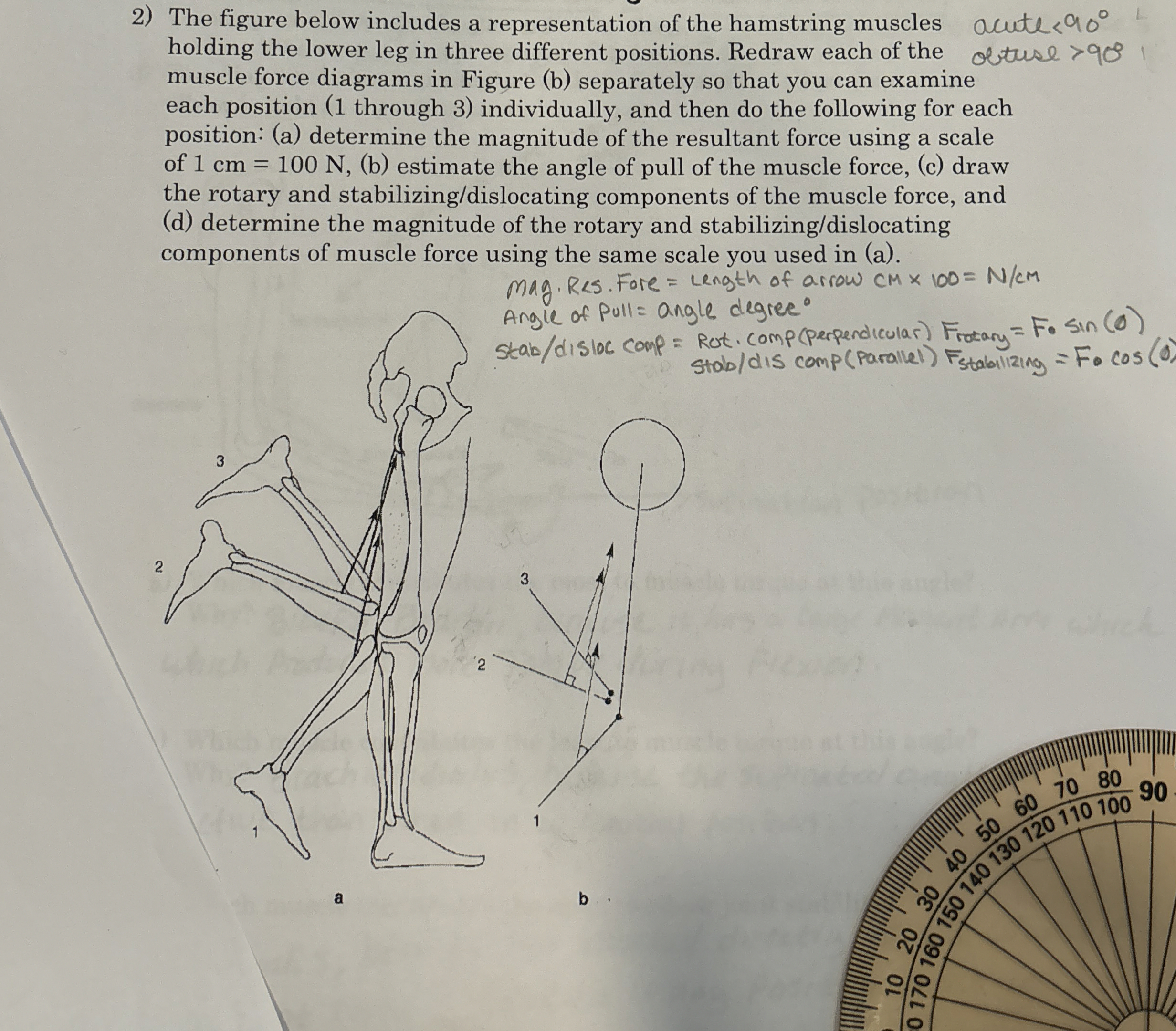 The figure below includes a representation of the
