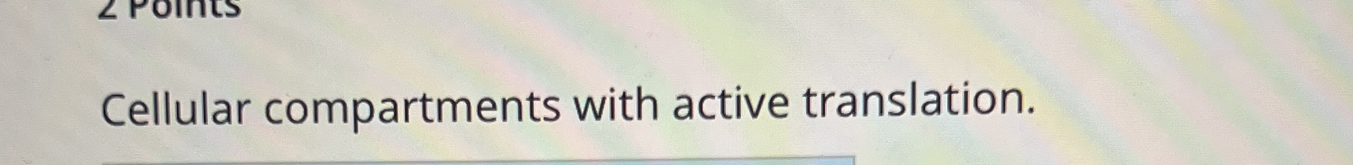 Cellular compartments with active translation.