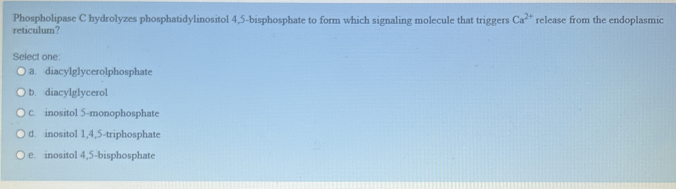 The polymerase chain reaction mixture does NOT