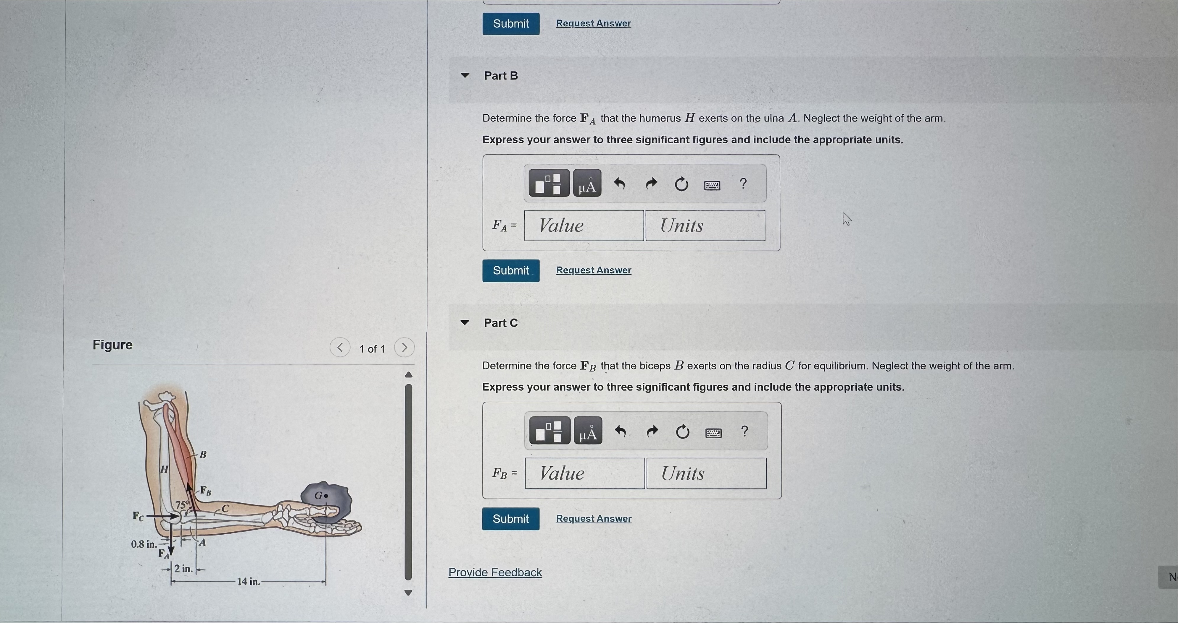When holding the 4 . 5 - l b stone in