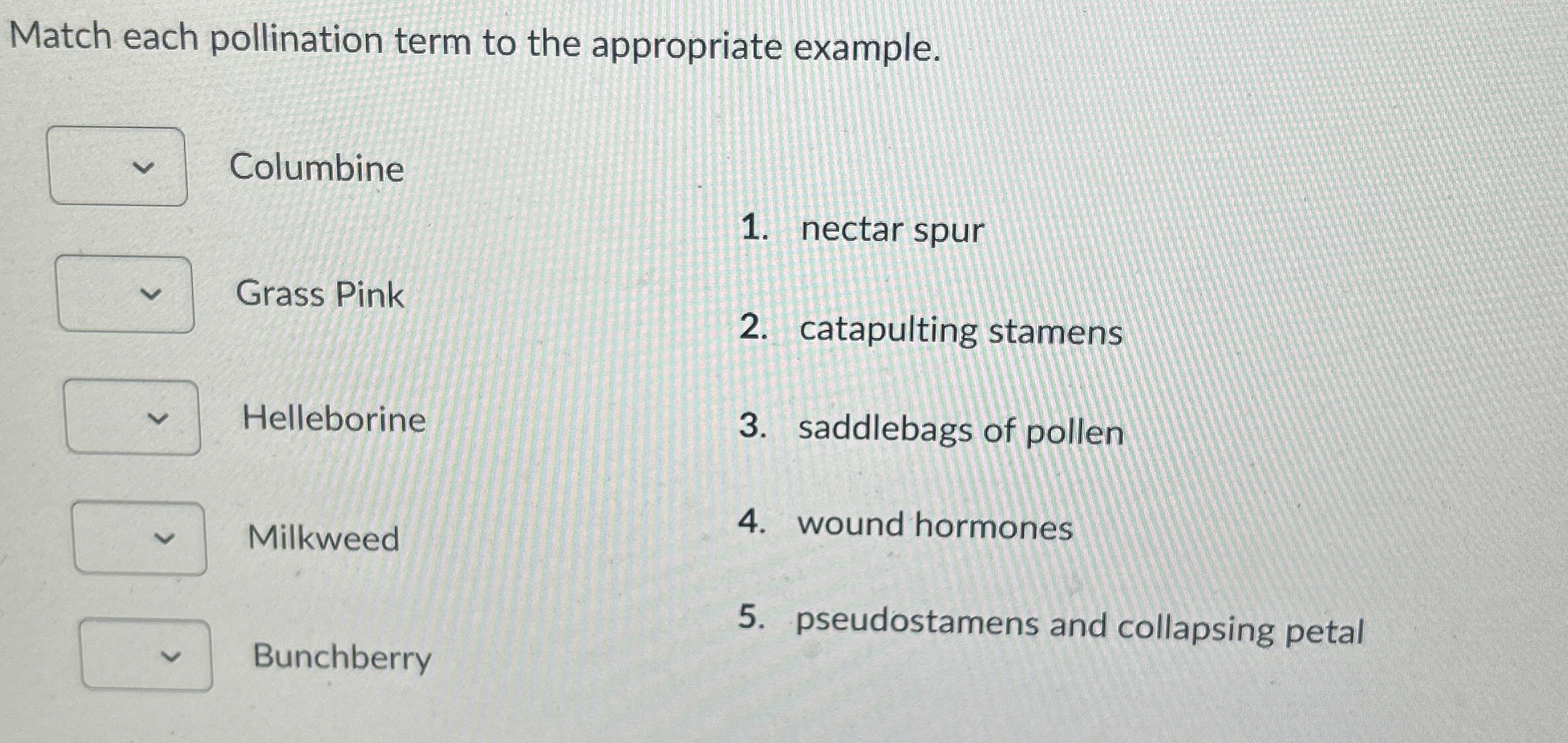 Match each pollination term to the appropriate
