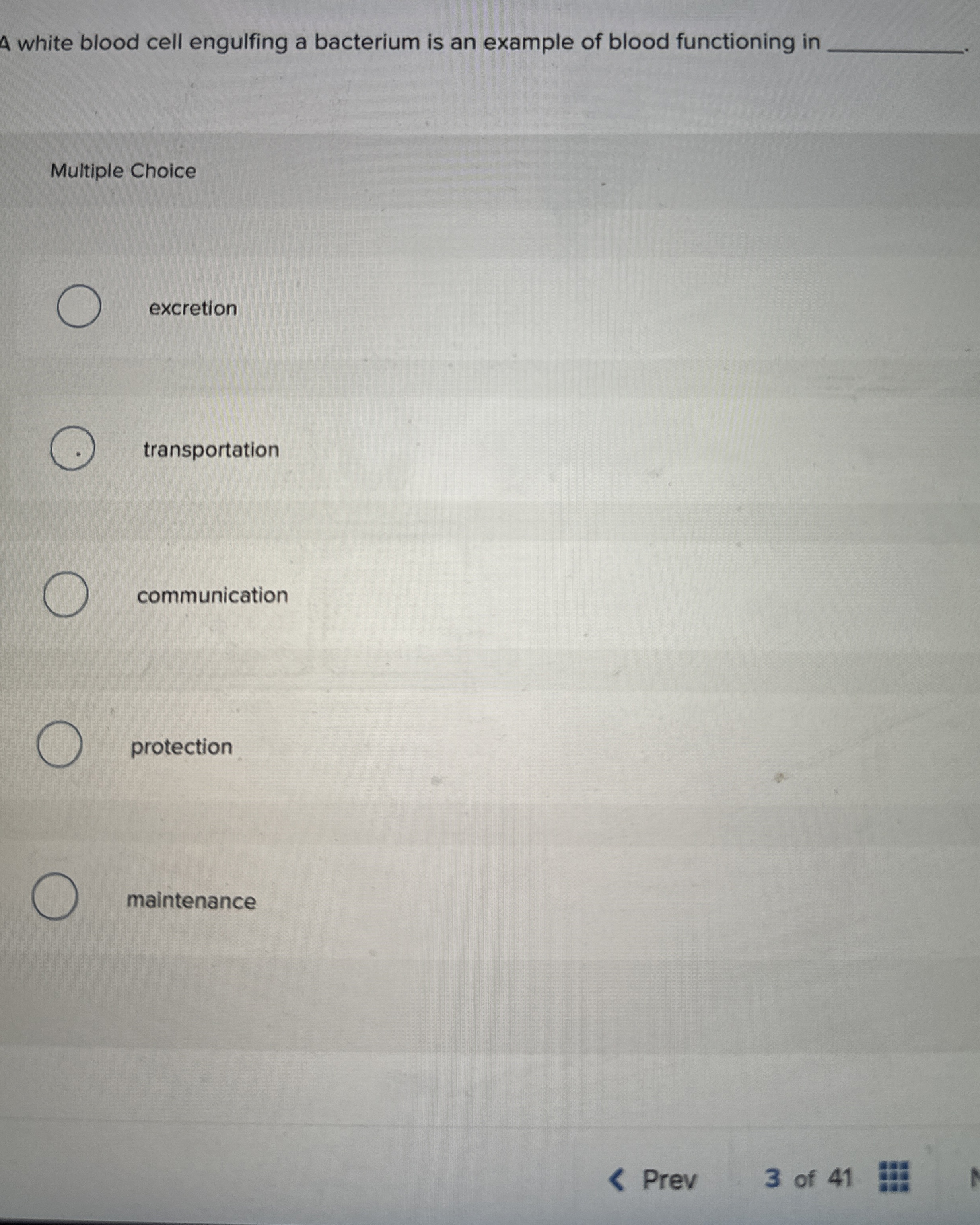 A white blood cell engulfing a bacterium is an