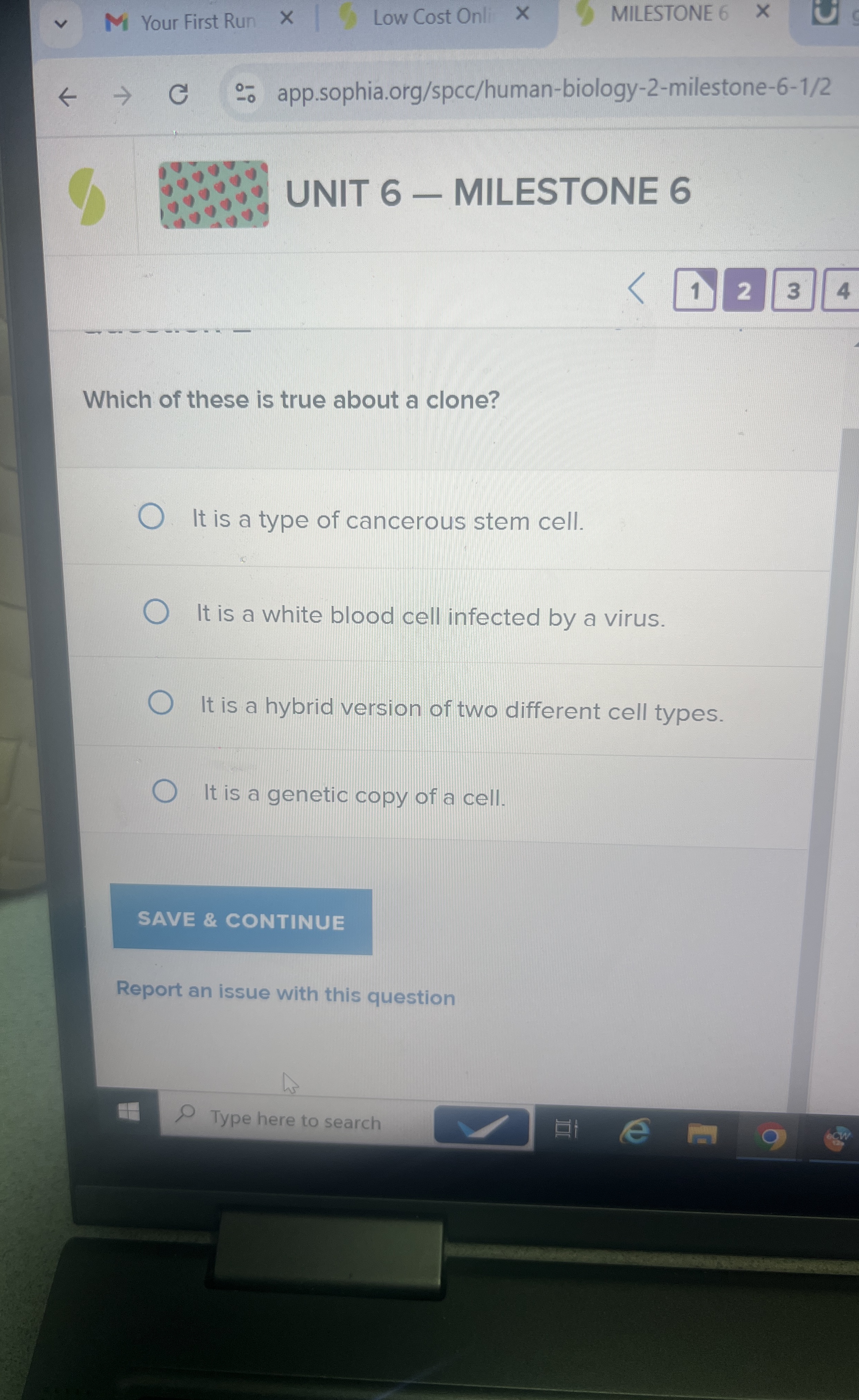 M Your First Run Low Cost Onli MILESTONE 6 - -