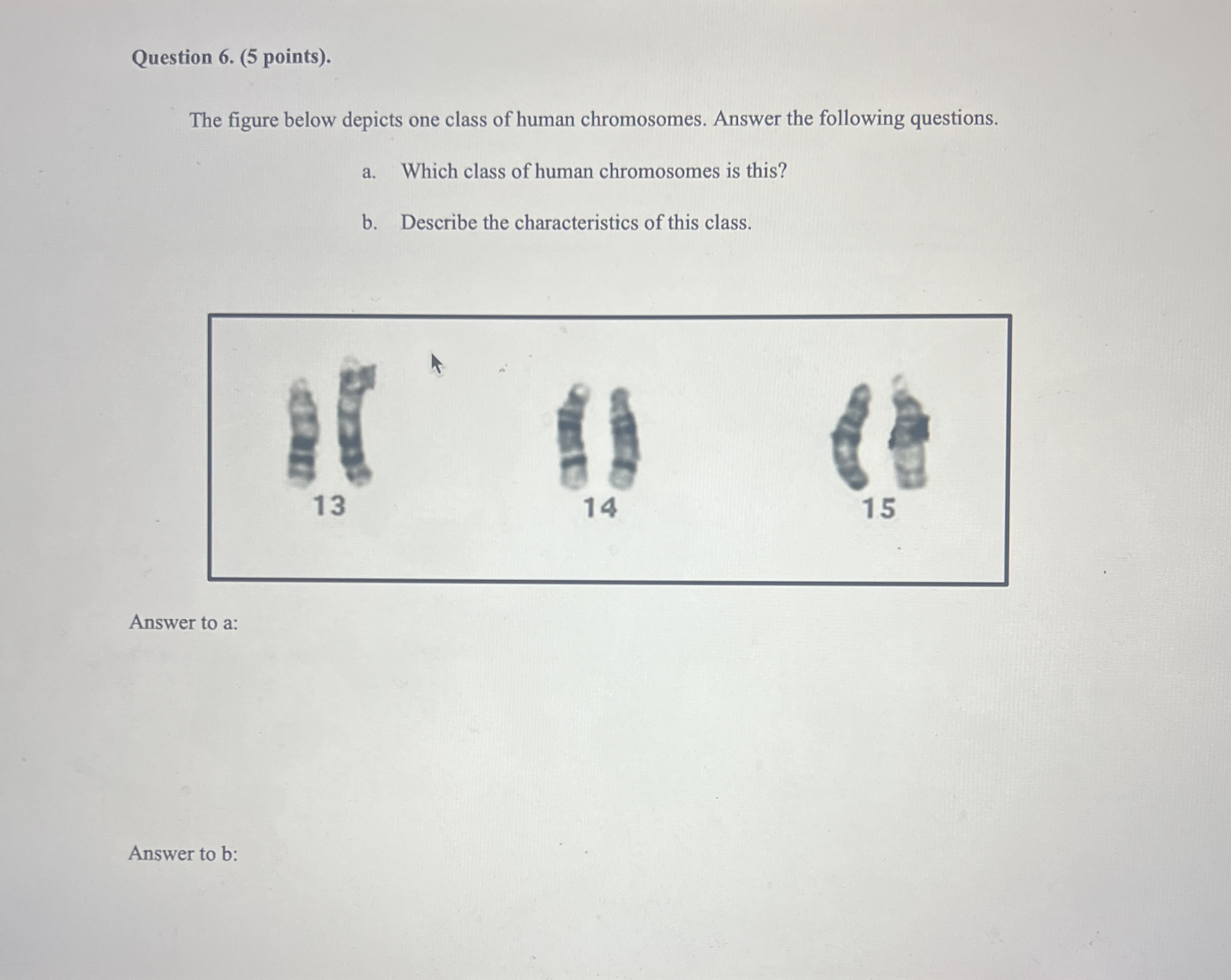 Question 6 . ( 5 points ) . The figure below