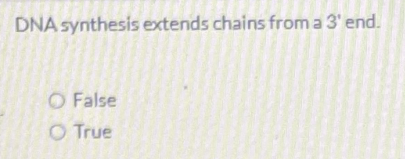 DNA synthesis extends chains from a 3 ' end.