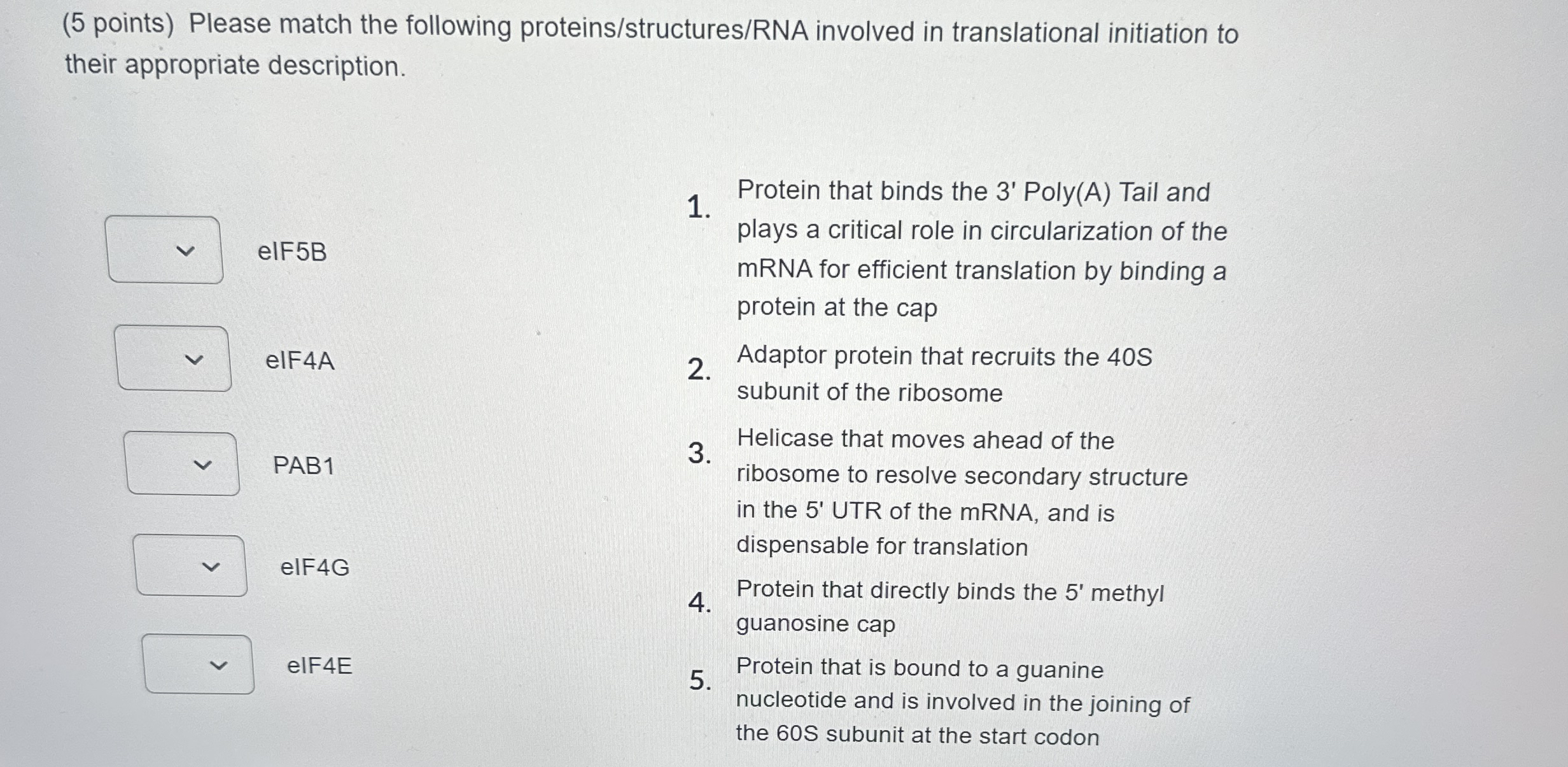 ( 5 points ) Please match the following proteins