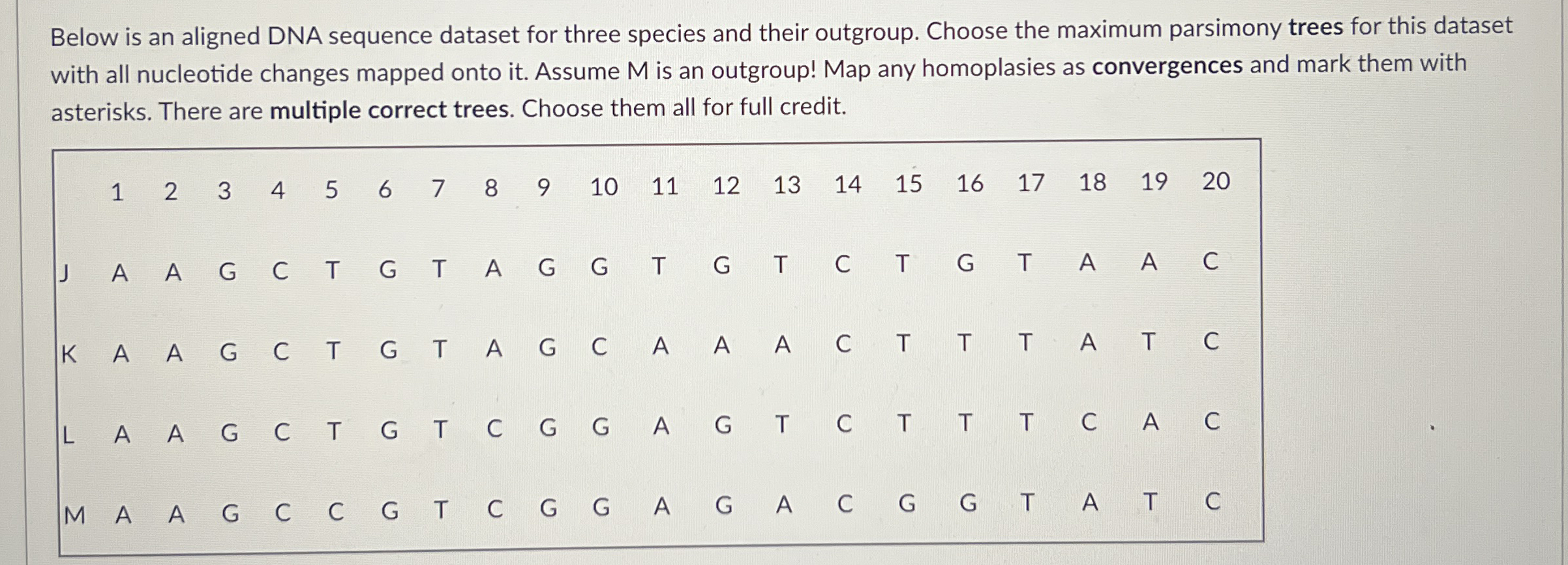 Below is an aligned DNA sequence dataset for