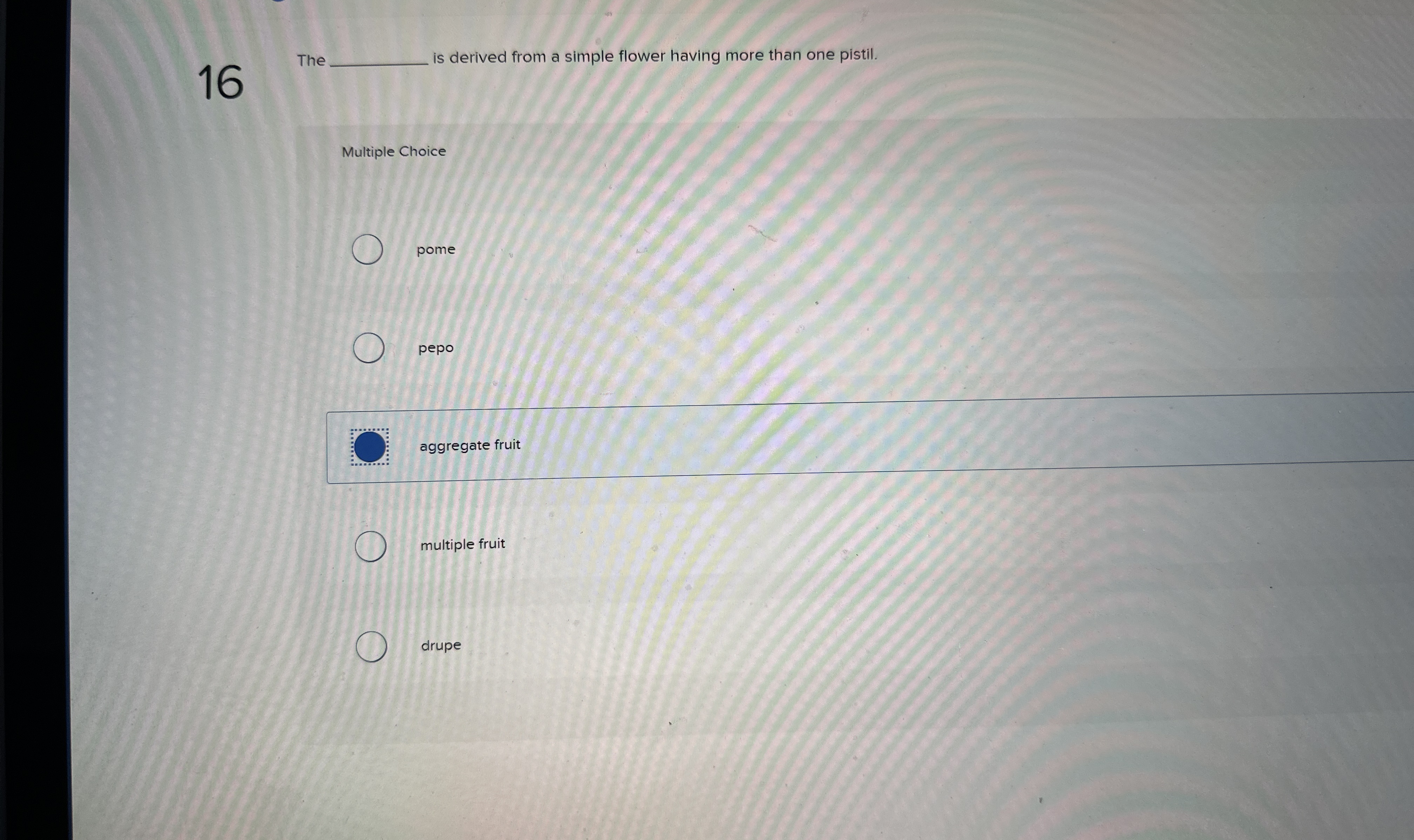 1 6 The is derived from a simple flower having