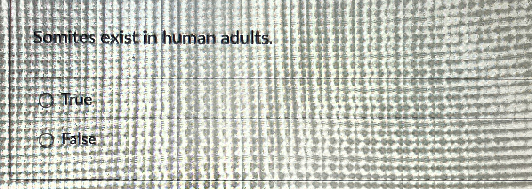 Somites exist in human adults. True False