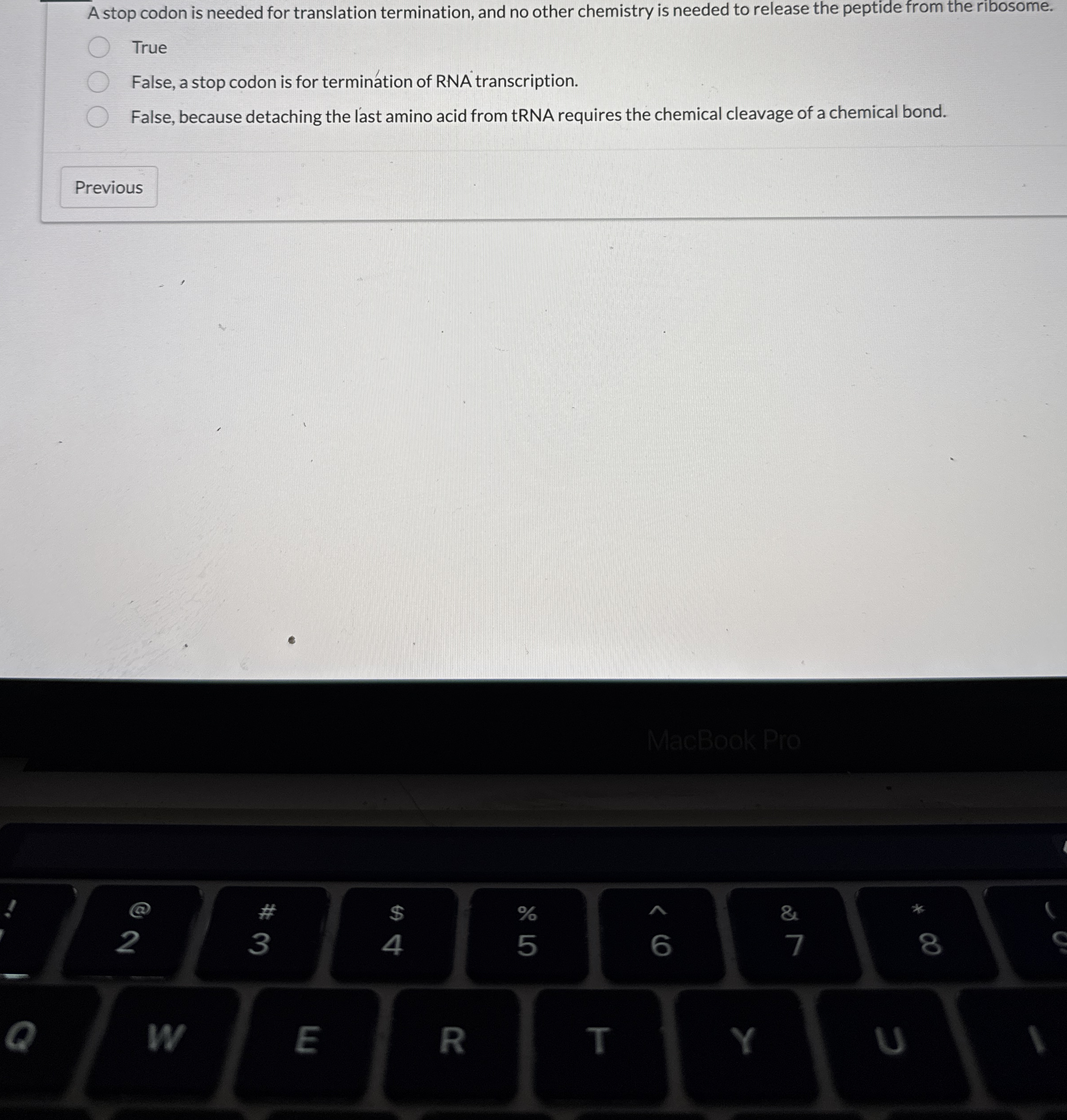A stop codon is needed for translation