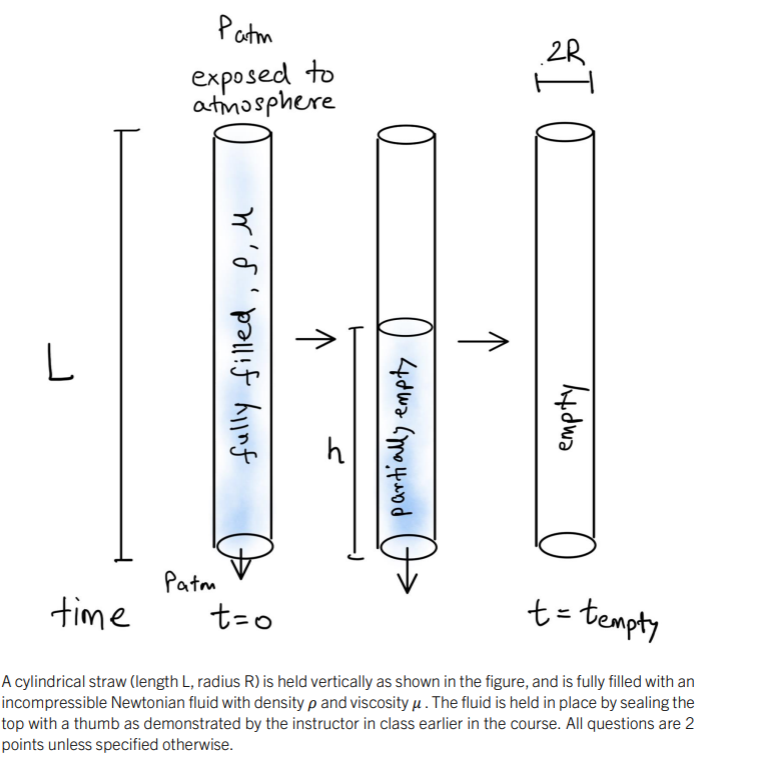 A cylindrical straw ( length L , radius R ) is