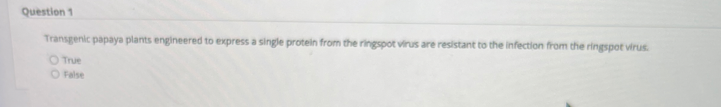 Question 1 Transgenic papaya plants engineered to
