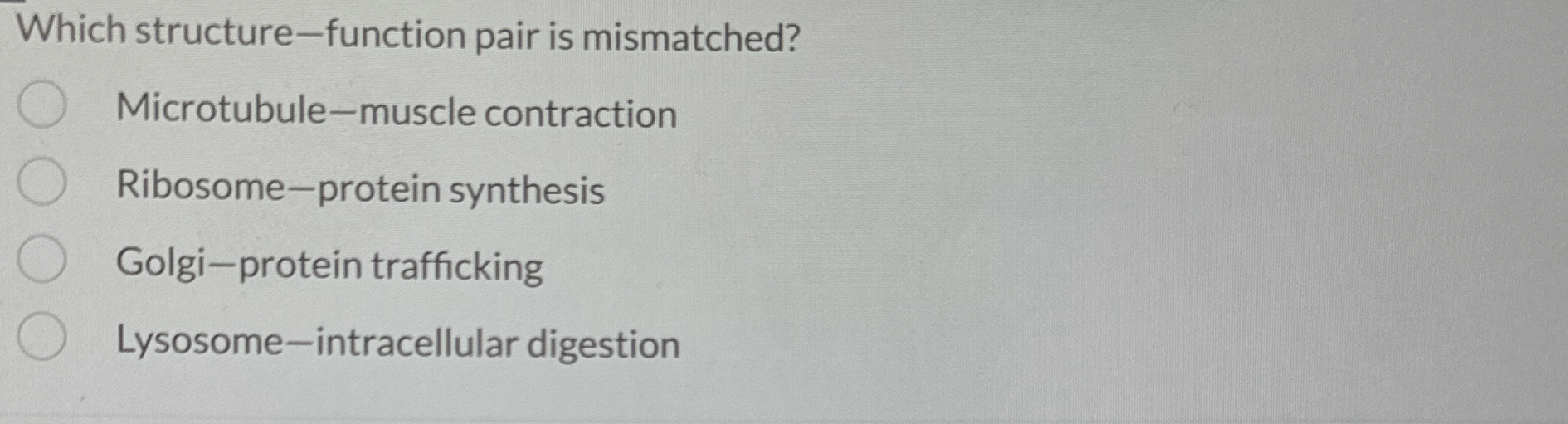 Which structure - function pair is mismatched?