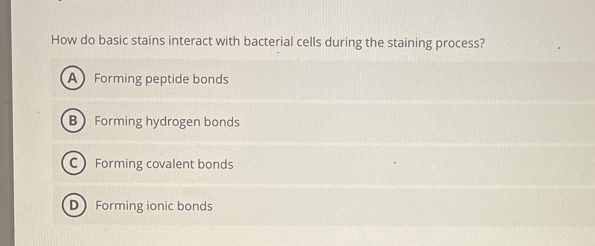 How do basic stains interact with bacterial cells