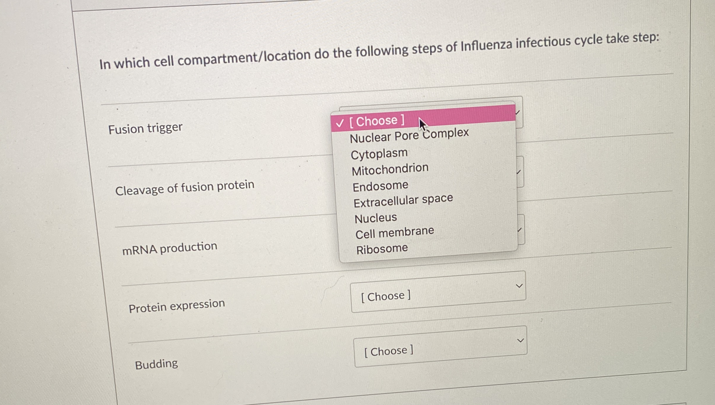 In which cell compartment / location do the