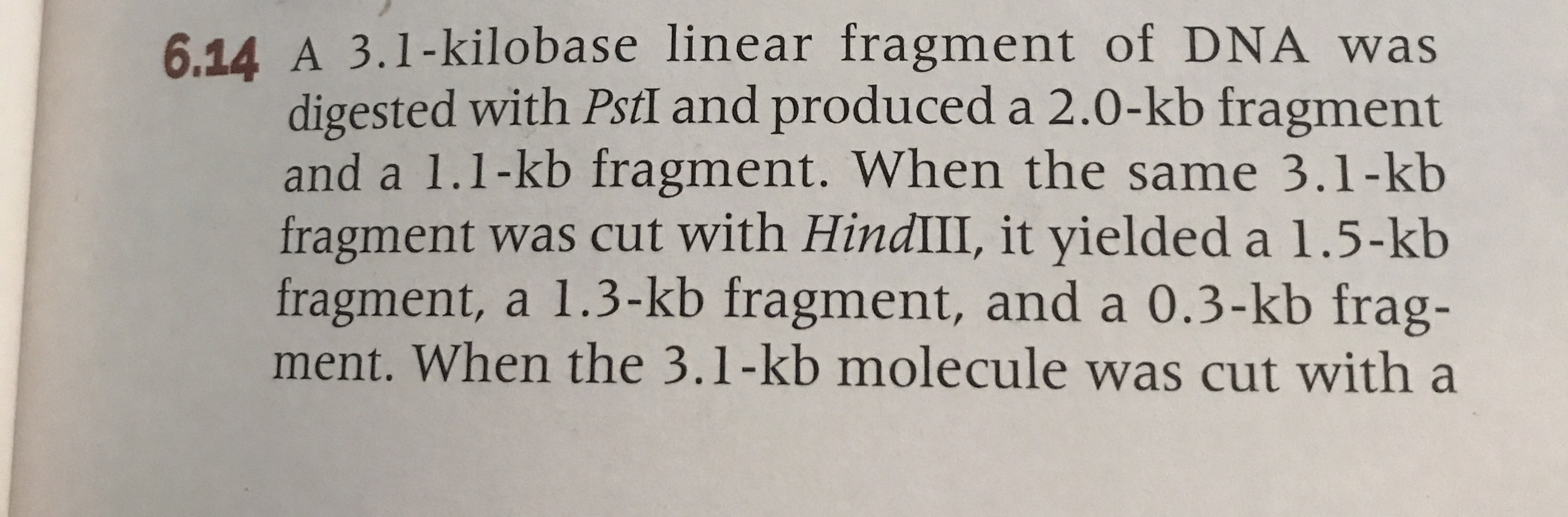 6 . 1 4 A 3 . 1 - kilobase linear fragment of DNA