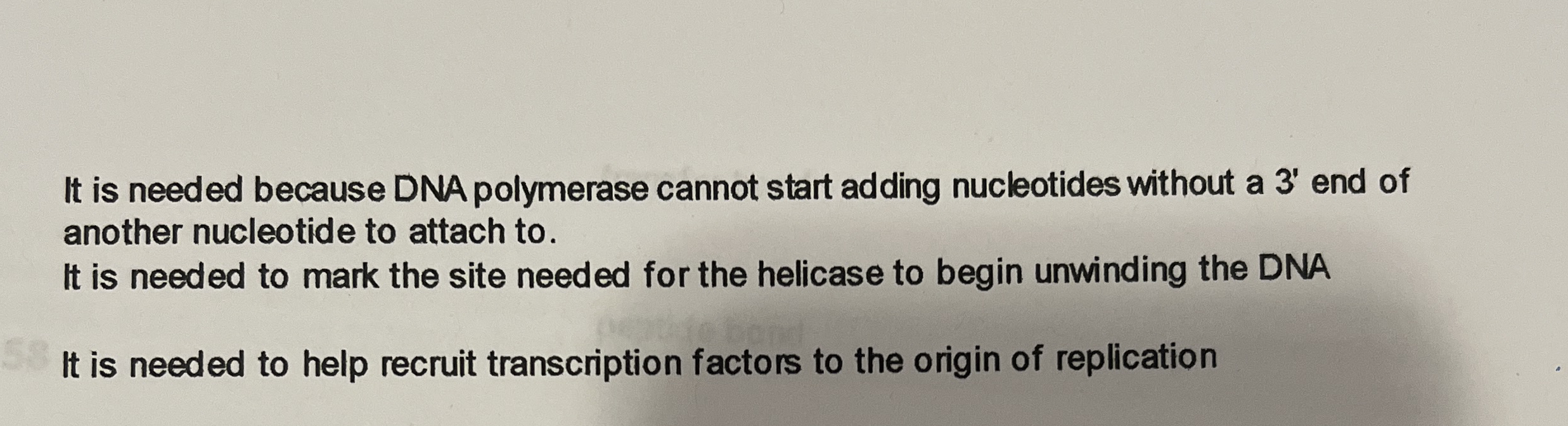 Why is RNA primase needed during DNA replication?